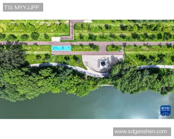 步行者的探索之旅：从城市街头到自然步道的心灵与身体双重体验