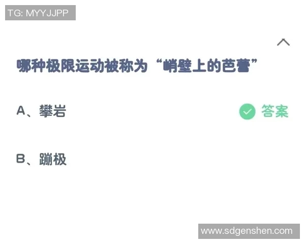 广州极限运动队区域防守分析与战术得失评估