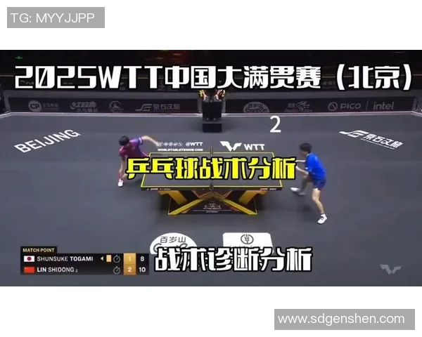 杭州乒乓球队整体压制战术解析与实战应用探讨