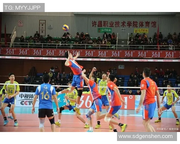 专访陈伟:深入探讨排球背后的成功秘诀与训练哲学 专访陈伟:深入探讨排球背后的成功秘诀与训练哲学