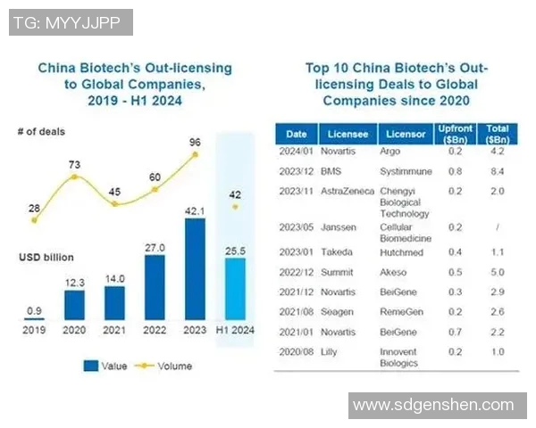 以交易为核心的市场变革与未来发展趋势探讨