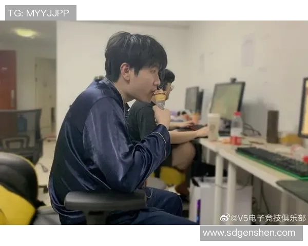 V5战队在比赛中的数据分析与经验总结探讨