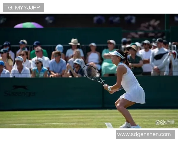 北京网球队表现优异最新网球状态TOP10榜单揭晓 北京网球队表现优异最新网球状态TOP10榜单揭晓