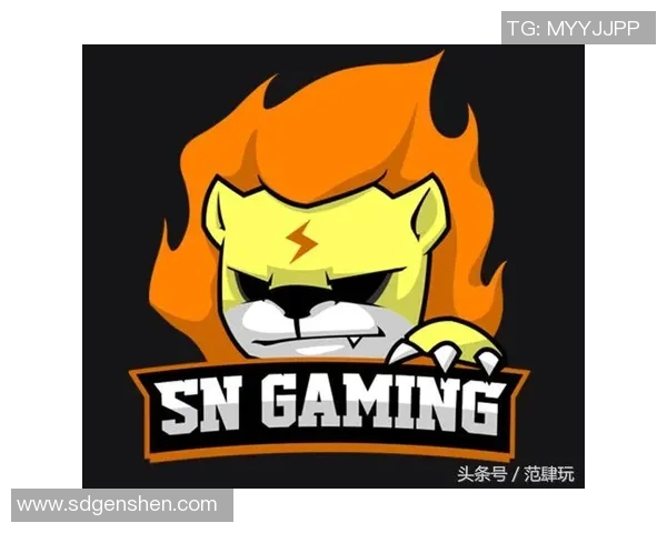 DOTA2深度解析LNG战队运营策略与成功之道揭秘 DOTA2深度解析LNG战队运营策略与成功之道揭秘