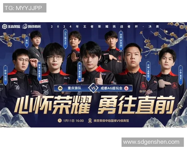 IG的成长之路：挑战者杯背后的奋斗与荣耀故事