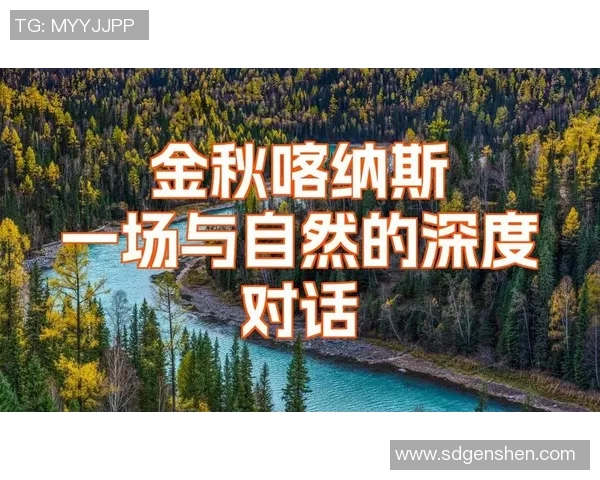 陈强的排球人生:从热爱到荣耀的深度对话与心路历程分享
